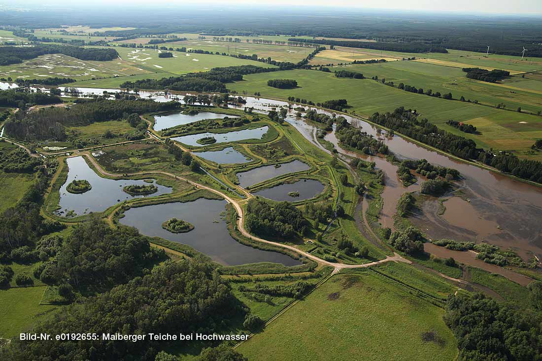 Maiberger Teiche bei Hochwasser