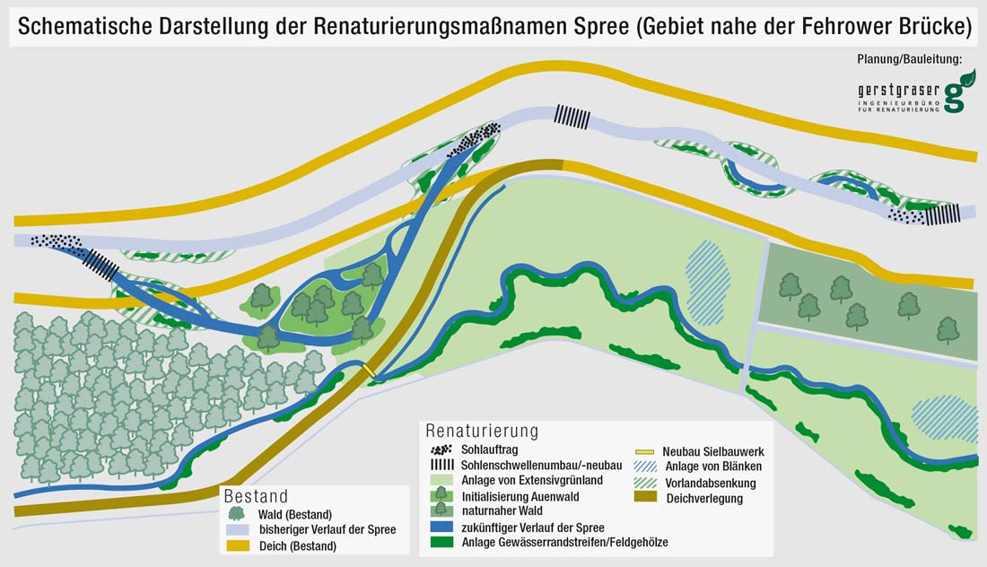 Geplante Maßnahmen zur Ungestaltung der Spree am Beispiel des Fehrower Bogens